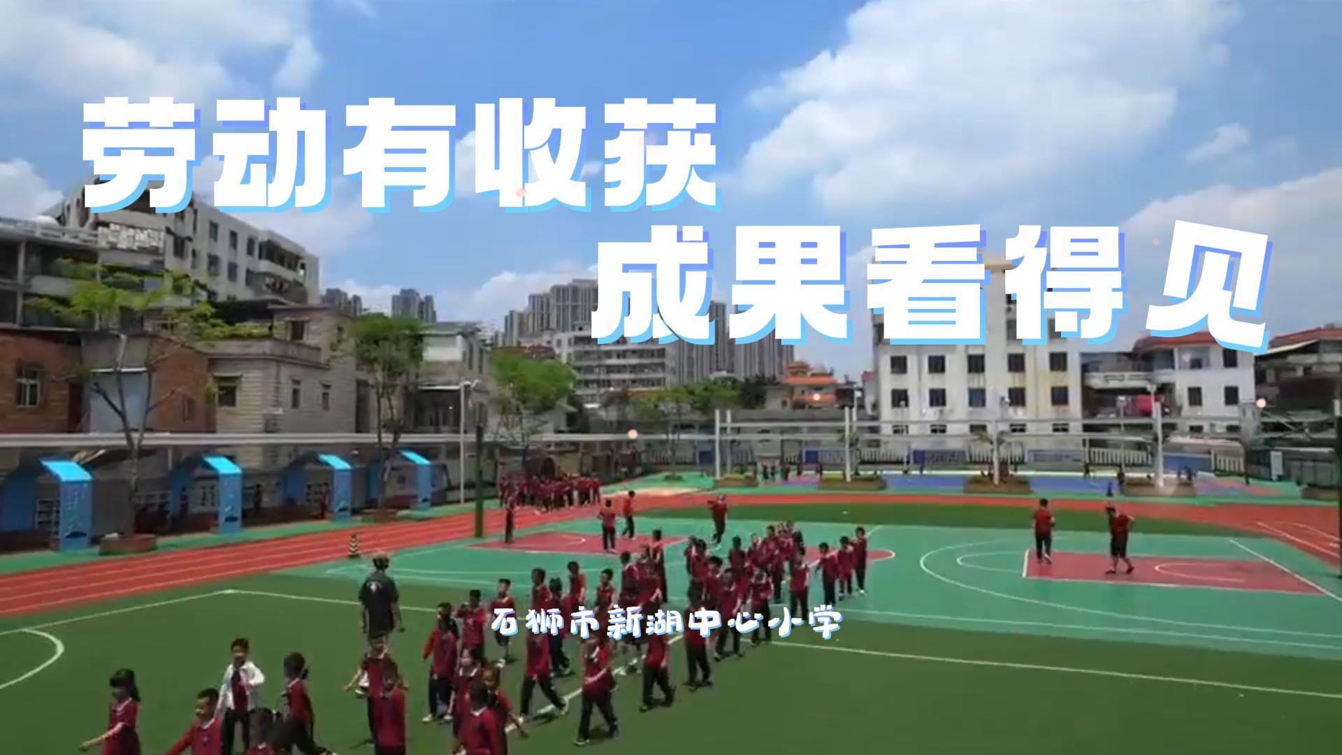 劳动有收获  成果看得见