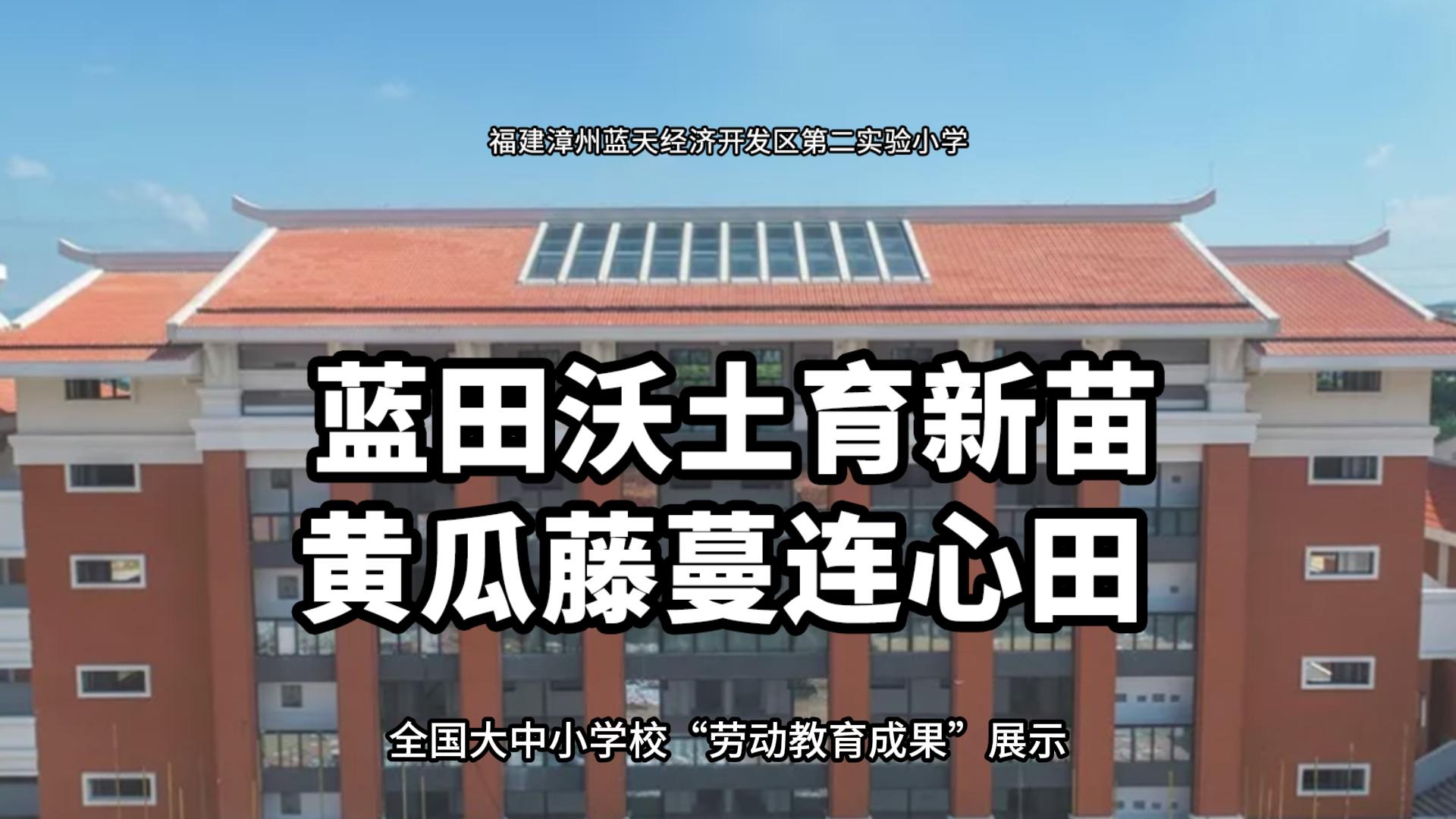 蓝田沃土育新苗 黄瓜藤蔓连心田