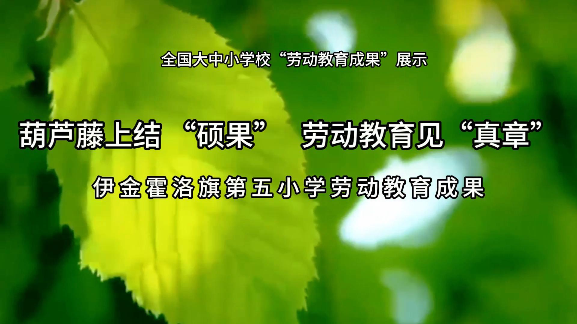 葫芦藤上结&ldquo;硕果&rdquo;劳动教育见&ldquo;真章&rdquo;