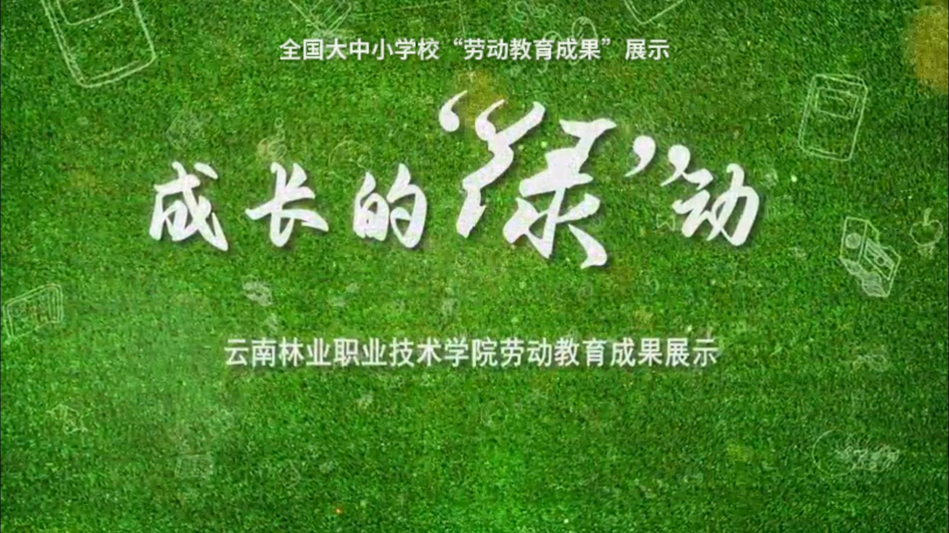 成长的&ldquo;绿&rdquo;动