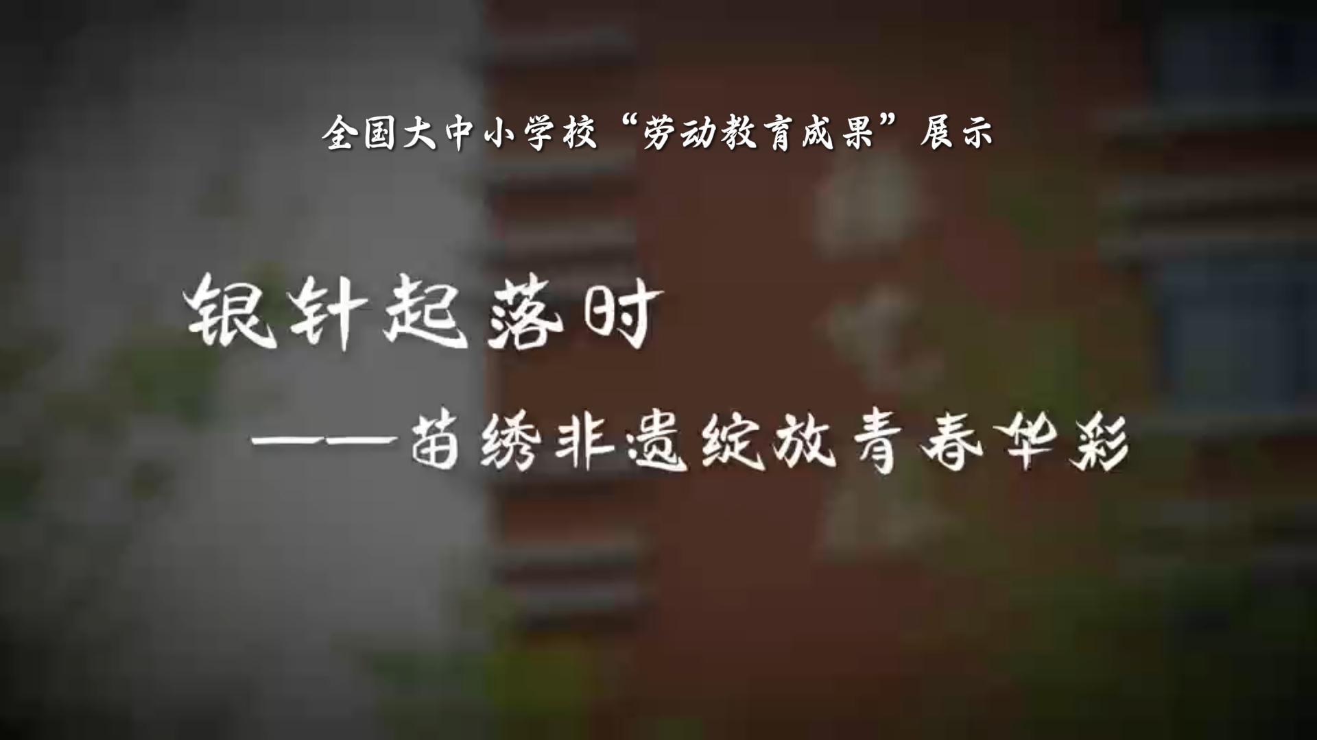 银针起落时&mdash;&mdash;苗绣非遗绽放青春华彩